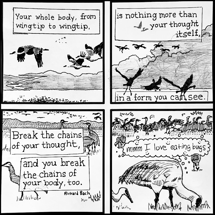 Current Exhibit: Black, White, & Read All Over